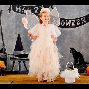 Girl fairy costume with wings